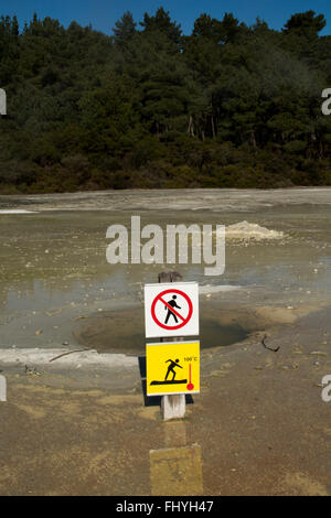 Die Primel-Terrasse ist die größte Sinter-Terrasse in Neuseeland. Es lagert sich die Kieselsäure aufgelöst in der Champagne Pool Stockfoto