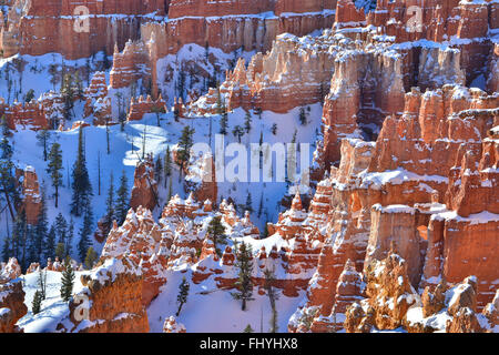 Morgensonne auf Schnee bedeckt Hoodoos im Bryce-Canyon-Nationalpark im Südwesten Utah von Rim Trail in der Nähe von Sunset Point gesehen. Stockfoto