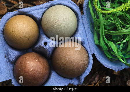 Vier gefärbten Eiern in blauen Kästchen. Stockfoto