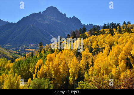 Espen Flammen unter Mount Sneffels entlang Dalls Creek Road in Uncompahgre National Forest in der Nähe von Ridway und Ouray, Colorado Stockfoto