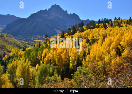 Espen Flammen unter Mount Sneffels entlang Dalls Creek Road in Uncompahgre National Forest in der Nähe von Ridway und Ouray, Colorado Stockfoto