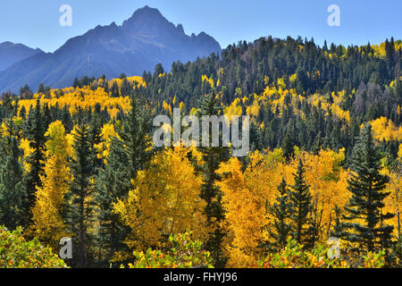 Espen Flammen unter Mount Sneffels entlang Dalls Creek Road in Uncompahgre National Forest in der Nähe von Ridway und Ouray, Colorado Stockfoto