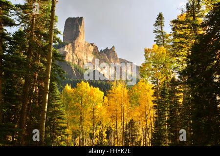 Herbst Farbe Ansichten entlang Forest Road 858 Owl Creek Pass etwa 20 Meilen westlich von Ridgway, Colorado, und in großen Cimarron Stockfoto