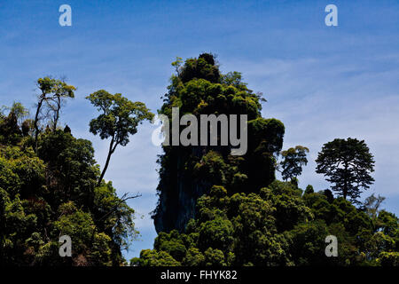 KARSTFORMATIONEN bedeckt mit tropischem Dschungel am CHEOW EN See im KHAO SOK Nationalpark - THAILAND Stockfoto