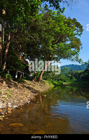 Das RESTAURANT im RIVERSIDE COTTAGES in KHO SOK, ein perfekter Ort zu bleiben, um Kho Sok Nationalpark - THAILAND besuchen Stockfoto