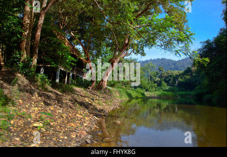 Das RESTAURANT im RIVERSIDE COTTAGES in KHO SOK, ein perfekter Ort zu bleiben, um Kho Sok Nationalpark - THAILAND besuchen Stockfoto