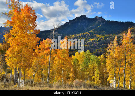 Herbstfarben kommt Espen über Silver Jack Reservoir an großen Cimarron Straße in Uncompahgre National Forest in Colorado Stockfoto