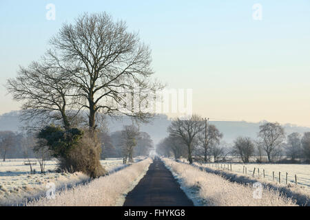 Eine lange Landstraße führt durch die Somerset Levels an einem frostigen Wintermorgen. Stockfoto