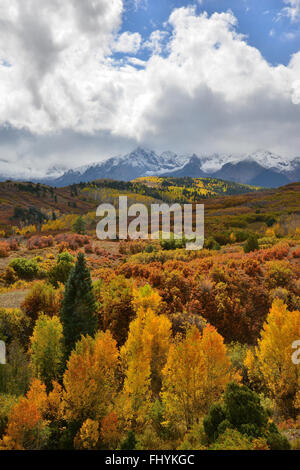 Herbstfarben kommt Dallas Teilen entlang HWY 62 westlich von Ridgway und Ouray Colorado. San-Juan-Gebirge im Hintergrund Stockfoto