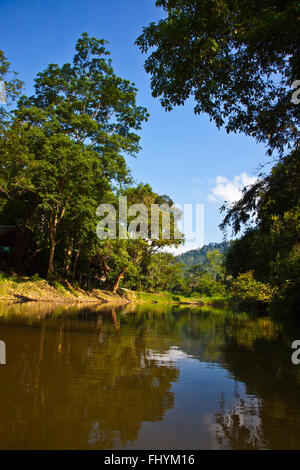 Die RIVERSIDE COTTAGES in KHO SOK, ein perfekter Ort zu bleiben, um Kho Sok Nationalpark - THAILAND besuchen Stockfoto