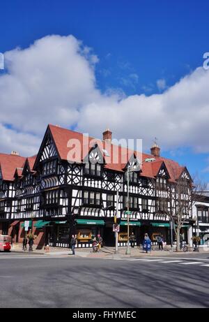 Die denkmalgeschützten Gebäude an der Ecke von Nassau und Witherspoon Street in Princeton, New Jersey von Hamilton Jewelers besetzt Stockfoto