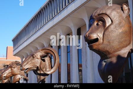 Der Kreis der Tiere Zodiac Kopf-Skulpturen von chinesische Künstler Ai Weiwei auf der Princeton University Scudder Plaza Stockfoto