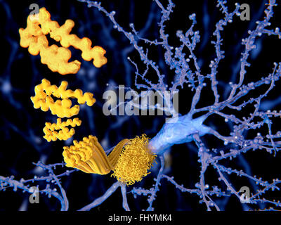Amyloid-Beta Peptid, Computer Illustration dieses Proteins ist die Hauptkomponente von Amyloid Plagen in den Gehirnen von Stockfoto