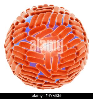 Zika-Virus, Computer Illustration ist das eine RNA (Ribonukleinsäure)-Virus aus der Familie der Flaviviridae zu übertragen ist Stockfoto