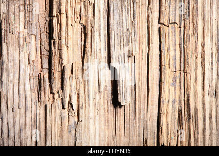 alte verdorbene Holzstruktur. hartes Licht Stockfoto