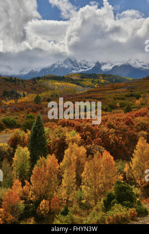 Herbstfarben kommt Dallas Teilen entlang HWY 62 westlich von Ridgway und Ouray Colorado. San-Juan-Gebirge im Hintergrund Stockfoto