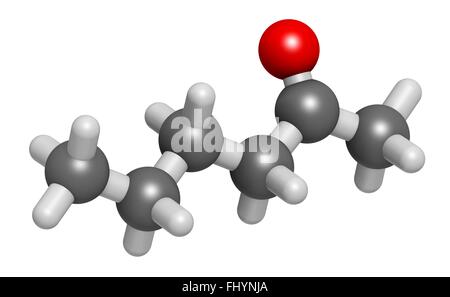 Methyl Butyl Keton (MBK, 2-Hexanon) Lösungsmittel Molekül Atome als Kugeln dargestellt werden und sind farblich markiert: Wasserstoff (weiß), Stockfoto