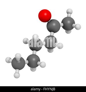 Methyl Butyl Keton (MBK, 2-Hexanon) Lösungsmittel Molekül Atome als Kugeln dargestellt werden und sind farblich markiert: Wasserstoff (weiß), Stockfoto