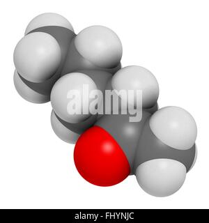 Methyl Butyl Keton (MBK, 2-Hexanon) Lösungsmittel Molekül Atome als Kugeln dargestellt werden und sind farblich markiert: Wasserstoff (weiß), Stockfoto