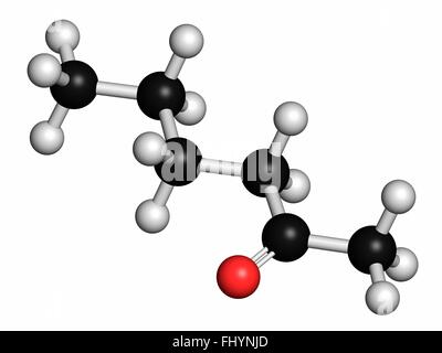 Methyl Butyl Keton (MBK, 2-Hexanon) Lösungsmittel Molekül Atome als Kugeln dargestellt werden und sind farblich markiert: Wasserstoff (weiß), Stockfoto