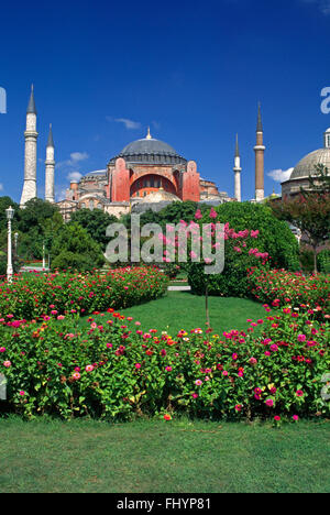 Blumengärten & The Ayasofya Camii (St. Sophia Cathedral) - byzantinische Kirche ursprünglich 537 n. Chr. erbaut, & schließlich umgewandelt Stockfoto