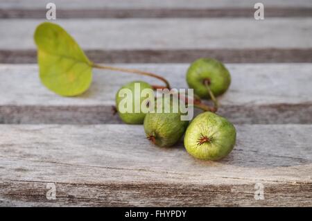 Zweig der Mini Baby Kiwi Beeren auf einem Holztisch Stockfoto
