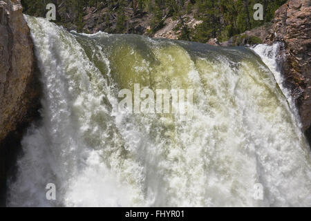 Oberen Rand der mächtigen LOWER YELLOWSTONE FALLS - YELLOWSTONE-Nationalpark, WYOMING Stockfoto