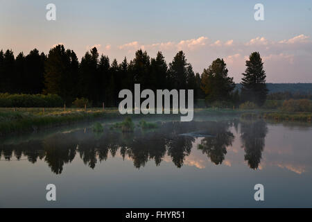 Eine Ranch Teich am frühen Morgen Nebel - WEST YELLOWSTONE, MONTANA Stockfoto