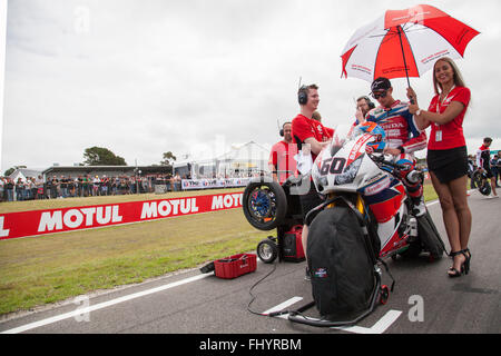 Phillip Island, Australien. 27. Februar 2016. Phillip Island, Australien. Rennen 1. Michael van der Mark (am Fahrrad) wartet auf den Start des ersten World Superbike Rennens. Van der Mark beendete das Rennen auf dem Podium auf dem dritten Platz. Stockfoto