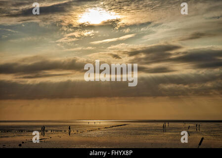 Deutschland, Dithmarschen, Friedrichskoog-Spitze, Sonnenuntergang an der Nordsee-Nordsee Stockfoto