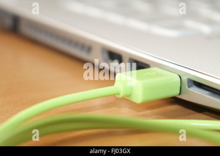 USB-Kabel an den Laptop angeschlossen Stockfoto