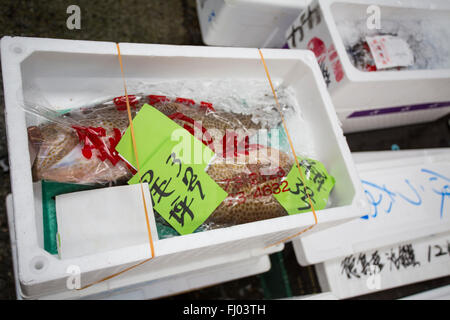 Fisch für den Verkauf außerhalb Tsukiji-Markt in Tokio Stockfoto