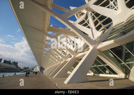 "Meseo de Las Ciencias Príncipe Felipe" Wissenschaftsmuseum Valencia Stockfoto