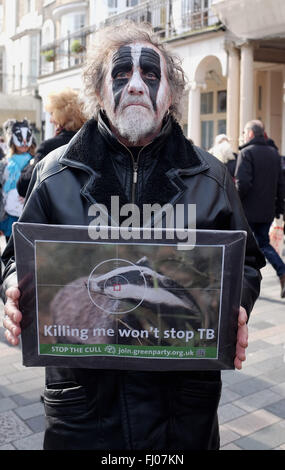 Brighton UK 27. Februar 2016 - Anti-Dachs Cull Demonstranten versammelten sich im Stadtzentrum von Brighton bevor Sie sich auf einen Marsch zum Strand heute Credit: Simon Dack/Alamy Live News Stockfoto