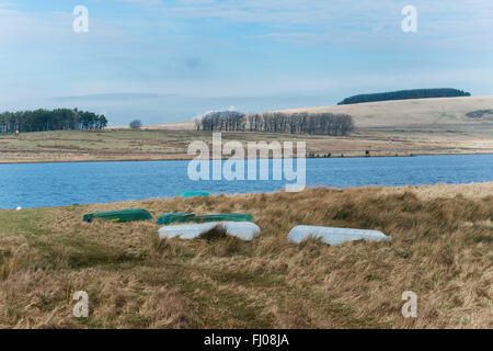 Angelboote/Fischerboote liegen auf dem Kopf stehend in sumpfigen Schilfgürtel am Harperrig Stausee Pentland hills Stockfoto