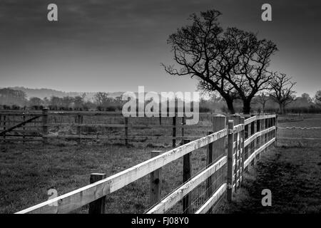 Landschaft von Cheshire in schwarz / weiß Stockfoto