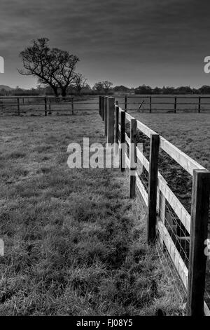 Landschaft von Cheshire in schwarz / weiß Stockfoto