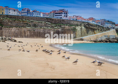 Ericeira, einer charmanten Stadt am Meer in Portugal Stockfoto