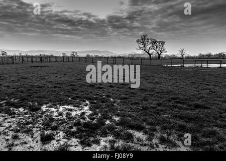 Landschaft von Cheshire in schwarz / weiß Stockfoto
