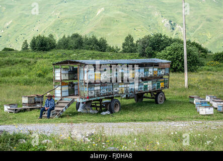 Bienenhaus auf Rädern gesehen von Georgian Military Road, historische Route durch Kaukasus Berge aus Georgien, Russland Stockfoto