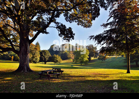 Sewerby Park; Bridlington; Yorkshire; UK Stockfoto