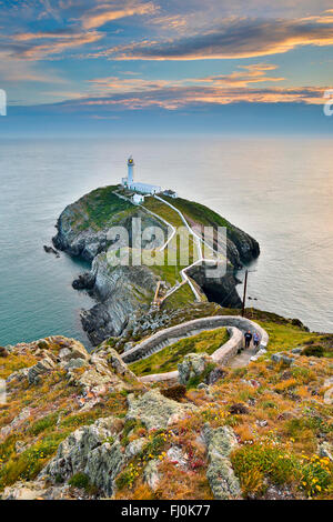 South Stack; Anglesey; Wales; UK Stockfoto