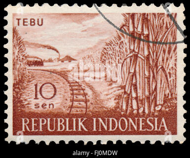 BUDAPEST, Ungarn - 13. Oktober 2015: eine Briefmarke gedruckt in Indonesien Showssugar Zuckerrohr, ca. 1960 Stockfoto