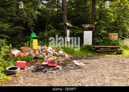 Illegale Müllkippe in Wald - Umweltverschmutzung. Stockfoto