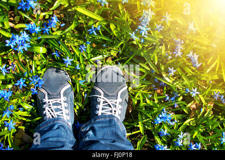 Füße stehen auf Scilla Blumen im park Stockfoto