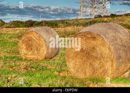 Heuballen in einem grünen Feld Stockfoto