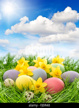 Ostereier mit Frühlingsblumen im grünen Rasen. Schönen sonnigen blauen Himmel Stockfoto