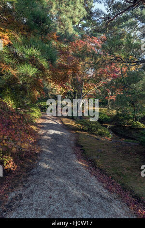 Verlieben Sie sich in den Gärten des Kaiserpalastes Kyoto, Kyoto, Japan Stockfoto