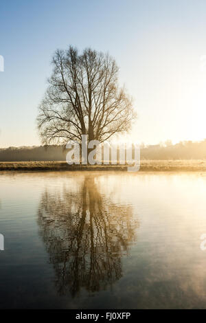 Schwerte, Deutschland - 15. Januar 2006: Das Ruhrgebiet ist ein mittlerer Größe-Fluss im Westen Deutschlands (North Rhine-Westphalia), eine richtige tribu Stockfoto