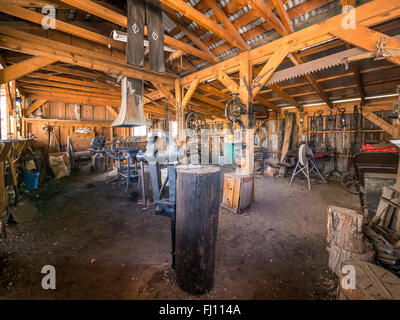 Museum of Western Colorado, Kreuz Obstgärten, Grand Junction, Colorado. Stockfoto